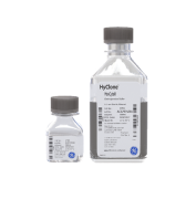 Accessories & Reagents